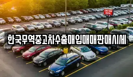강원 강릉시 노암동 중고차매입 전문 한국무역중고차수출매입매매판매시세