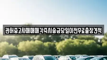 강원 강릉시 대전동 중고차 전문 관허중고차매매매각즉시송금당일이전무료출장견적