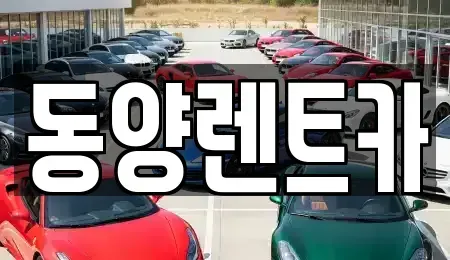 강원 강릉시 연곡면 렌트카 전문 동양렌트카