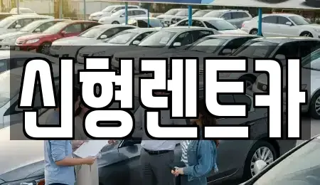 강원 강릉시 연곡면 렌트카 전문 신형렌트카
