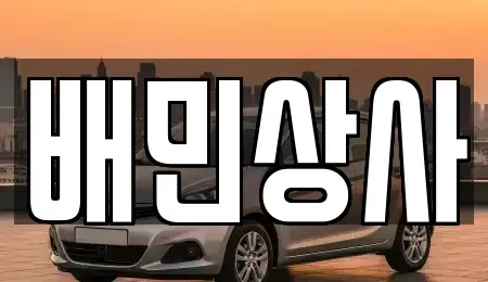 강원 강릉시 연곡면 중고차매매 전문 배민상사