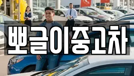 강원 강릉시 연곡면 중고차매매 전문 뽀글이중고차