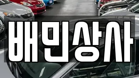 강원 강릉시 회산동 중고차 전문 배민상사