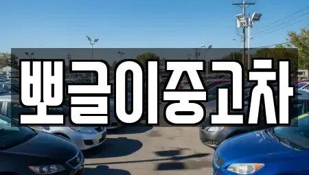 강원 강릉시 회산동 중고차매매 전문 뽀글이중고차