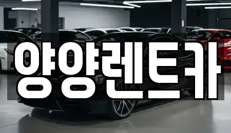 강원 양양군 렌트카 전문 양양렌트카