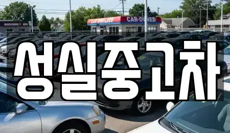 강원 양양군 중고차 전문 성실중고차