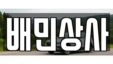 강원 양양군 중고차매매 전문 배민상사