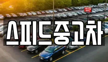 강원 양양군 중고차매매,단기렌트카,중고차매입,장기렌트카,중고차,렌트카
