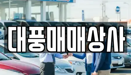강원 원주시 관설동 중고차매매 전문 대풍매매상사