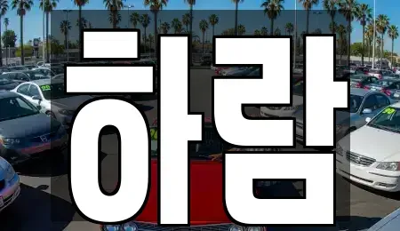 강원 원주시 명륜동 장기렌트카 전문 하람