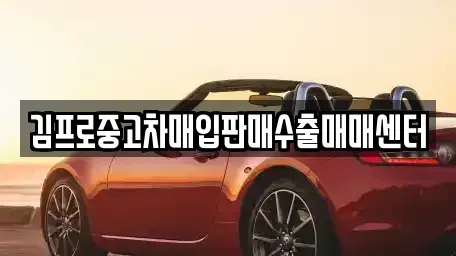 강원 원주시 명륜동 중고차 전문 김프로중고차매입판매수출매매센터