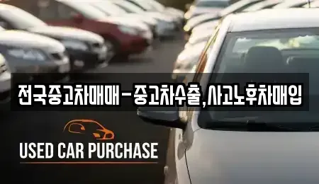 강원 원주시 명륜동 중고차매입 전문 전국중고차매매-중고차수출,사고노후차매입