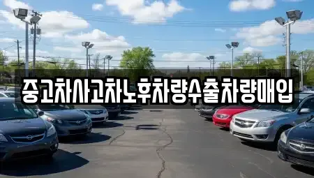 강원 원주시 명륜동 중고차매입 전문 중고차사고차노후차량수출차량매입