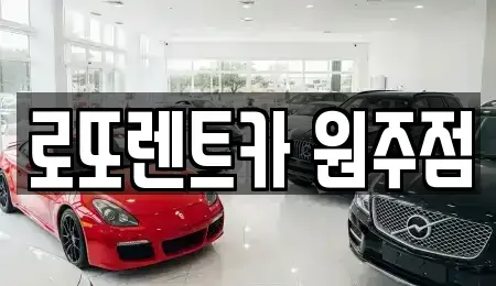 강원 원주시 원동 장기렌트카 전문 로또렌트카 원주점