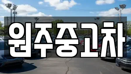 강원 원주시 원동 중고차매매 전문 원주중고차