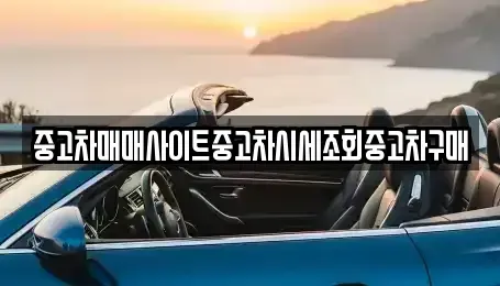 강원 춘천시 봉의동 중고차매매 전문 중고차매매사이트중고차시세조회중고차구매