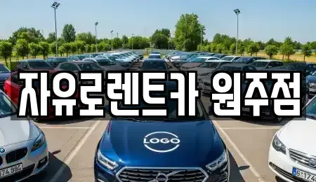 강원 횡성군 횡성읍 렌트카 전문 자유로렌트카 원주점