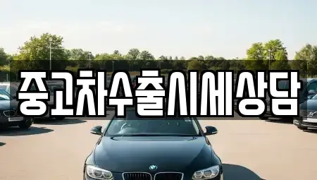 강원 횡성군 횡성읍 중고차 전문 중고차수출시세상담