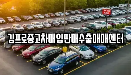 강원 횡성군 횡성읍 중고차매입 전문 김프로중고차매입판매수출매매센터