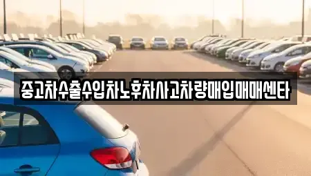 강원 횡성군 횡성읍 중고차매입 전문 중고차수출수입차노후차사고차량매입매매센타