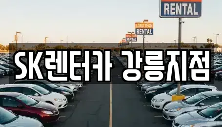 강원특별자치도 강릉시 노암동 렌트카 전문 SK렌터카 강릉지점
