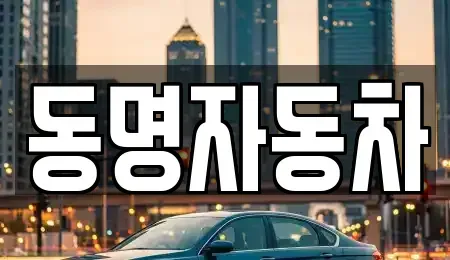 강원특별자치도 강릉시 노암동 중고차 전문 동명자동차