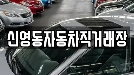 강원특별자치도 강릉시 노암동 중고차 전문 신영동자동차직거래장