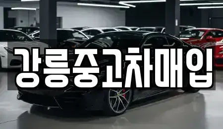 강원특별자치도 강릉시 노암동 중고차매입 전문 강릉중고차매입