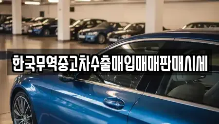 강원특별자치도 강릉시 노암동 중고차매입 전문 한국무역중고차수출매입매매판매시세