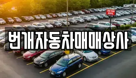 강원특별자치도 강릉시 지변동 중고차매매 전문 번개자동차매매상사