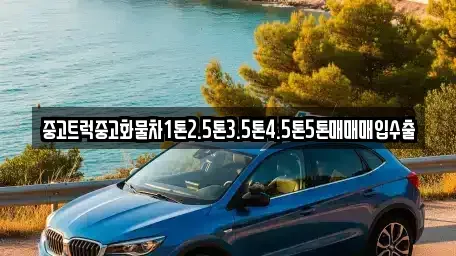 강원특별자치도 강릉시 지변동 중고차매입 전문 중고트럭중고화물차1톤2.5톤3.5톤4.5톤5톤매매매입수출