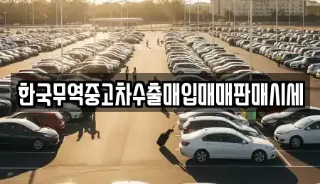 강원특별자치도 강릉시 지변동 중고차매입 전문 한국무역중고차수출매입매매판매시세