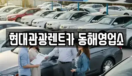 강원특별자치도 동해시 단봉동 렌트카 전문 현대관광렌트카 동해영업소