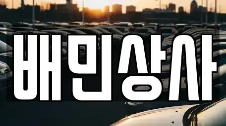 강원특별자치도 삼척시 마달동 중고차 전문 배민상사