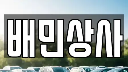 강원특별자치도 삼척시 오분동 중고차매매 전문 배민상사