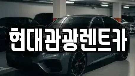 강원특별자치도 속초시 설악동 렌트카 전문 현대관광렌트카