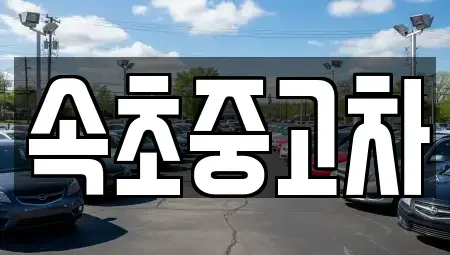 강원특별자치도 속초시 설악동 중고차 전문 속초중고차