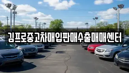 강원특별자치도 속초시 설악동 중고차매입 전문 김프로중고차매입판매수출매매센터