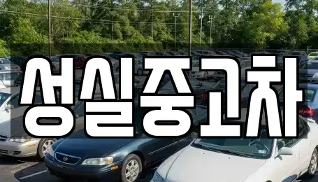 강원특별자치도 속초시 영랑동 중고차 전문 성실중고차