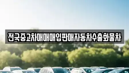 강원특별자치도 속초시 영랑동 중고차 전문 전국중고차매매매입판매자동차수출화물차