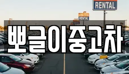 강원특별자치도 속초시 영랑동 중고차매매 전문 뽀글이중고차