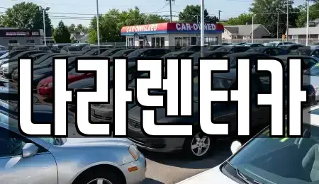 강원특별자치도 원주시 소초면 렌트카 전문 나라렌터카