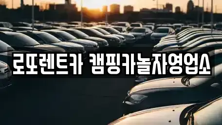 강원특별자치도 원주시 소초면 렌트카 전문 로또렌트카 캠핑카놀자영업소