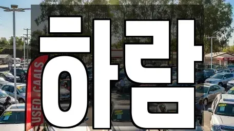 강원특별자치도 원주시 소초면 장기렌트카 전문 하람