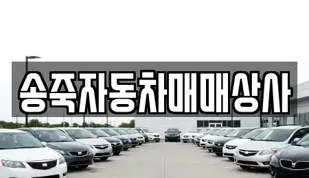 강원특별자치도 원주시 소초면 중고차매매 전문 송죽자동차매매상사