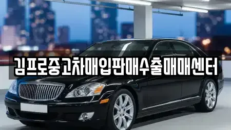 강원특별자치도 원주시 소초면 중고차매입 전문 김프로중고차매입판매수출매매센터