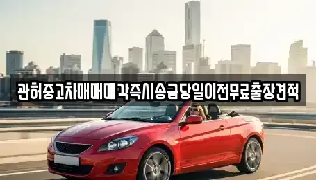 강원특별자치도 정선군 신동읍 중고차매매,단기렌트카,중고차매입,장기렌트카,중고차,렌트카