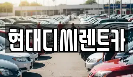 강원특별자치도 철원군 동송읍 렌트카 전문 현대디씨렌트카