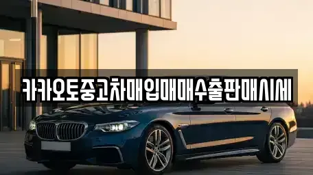 강원특별자치도 철원군 동송읍 중고차매입 전문 카카오토중고차매입매매수출판매시세