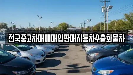 강원특별자치도 춘천시 조양동 중고차 전문 전국중고차매매매입판매자동차수출화물차